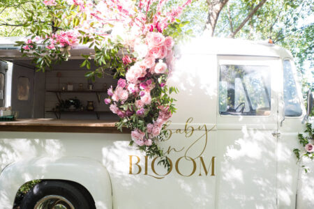 Houston Baby Shower Venue