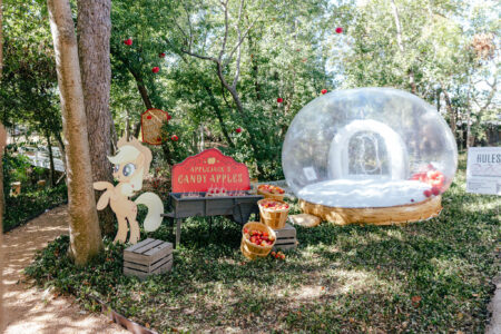 The Juliana Houston Heights Venue Courtyard